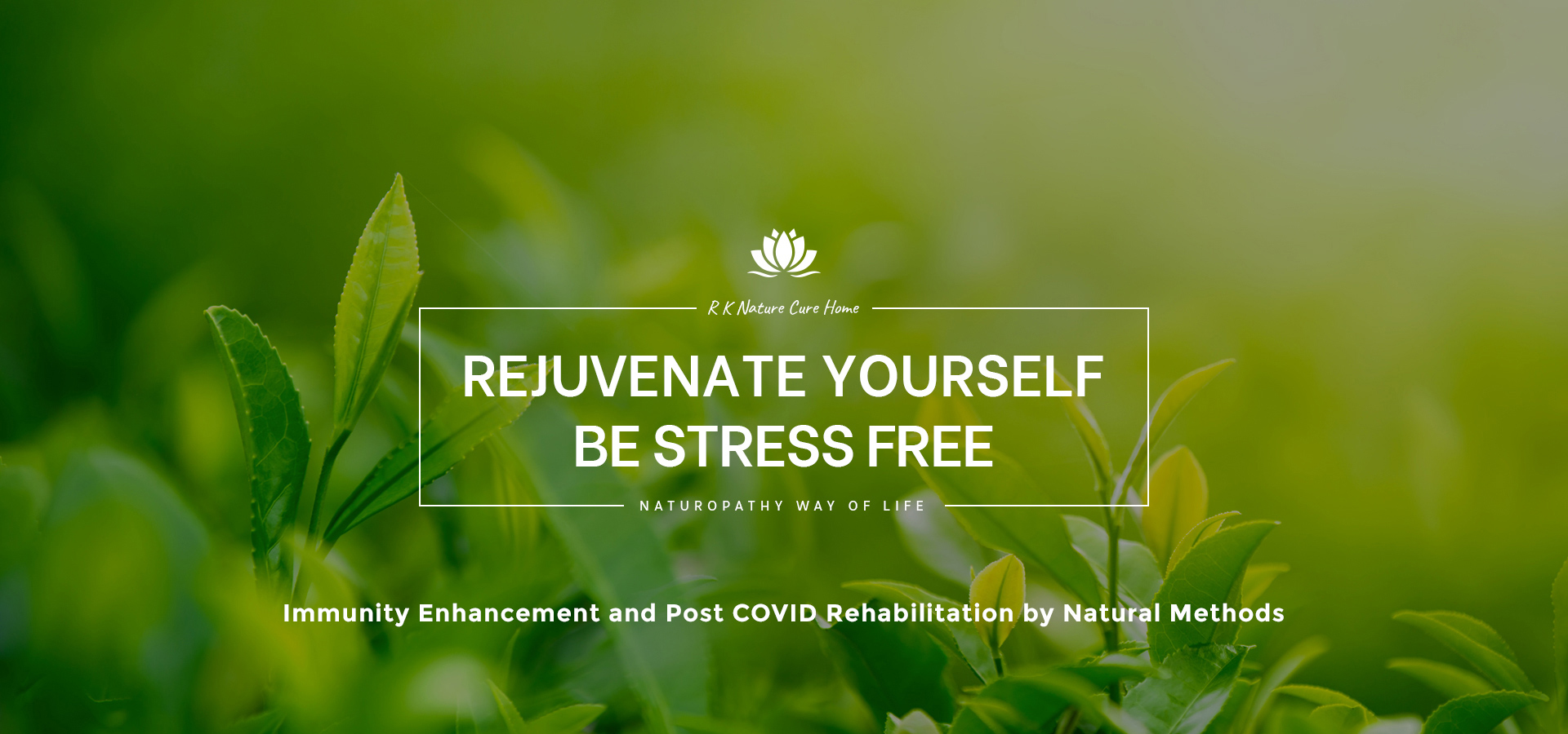 Power of Nature Cure R K Nature Cure Home