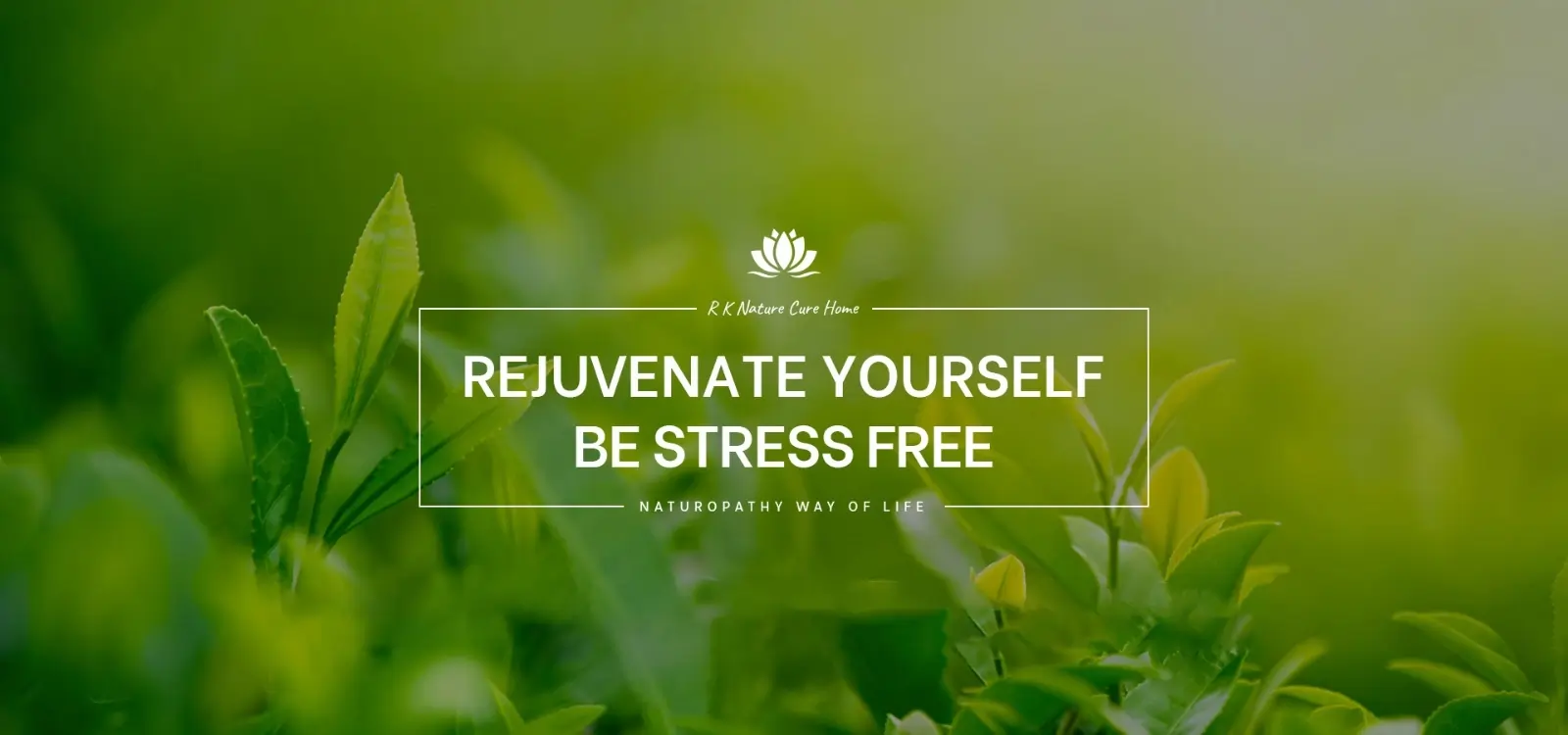Wellness Banner